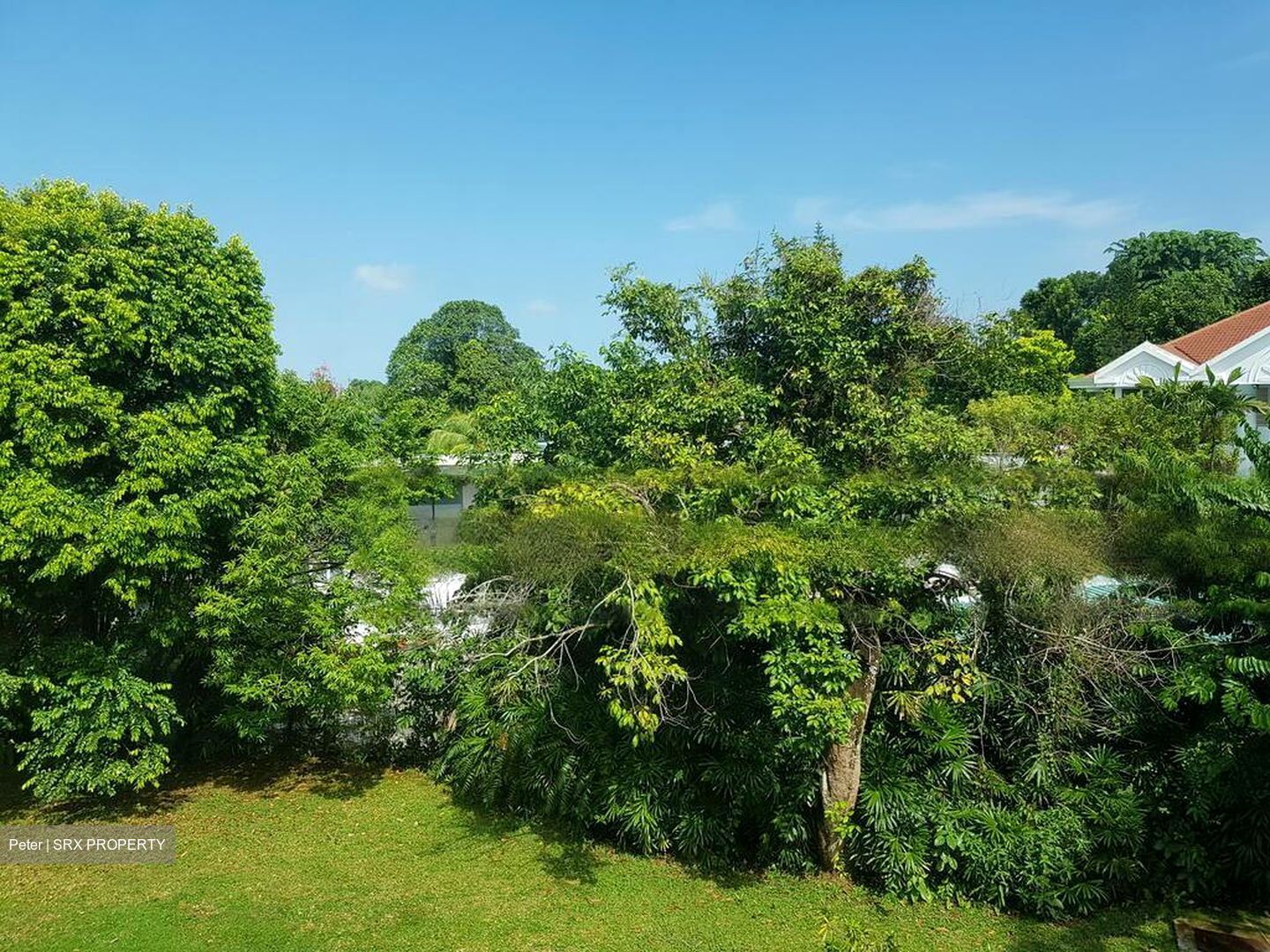 Bukit Timah Estate (D10), Detached #468537111